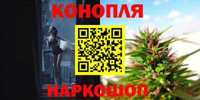 гашик Бийск