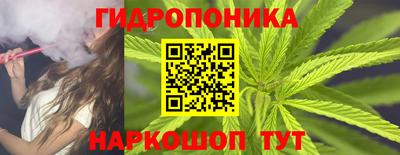 молекула духа Берёзовский