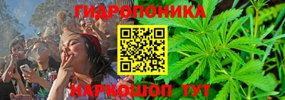 гашик Бийск