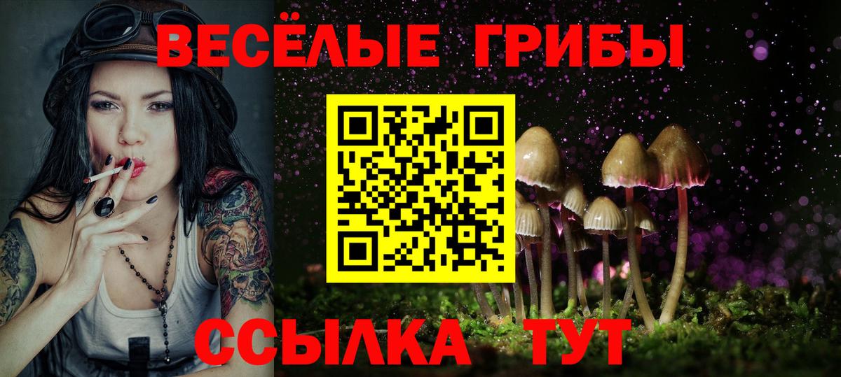 Галлюциногенные грибы Psilocybine cubensis Знаменск